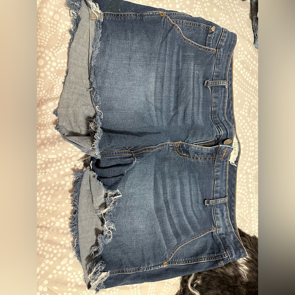 Torrid shorts